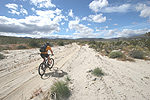 Riding off into the Anza Borrego Desert