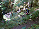 Jeff C - Larrison Creek Trail switchbacks