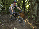 Rider on Flat Creek Trail