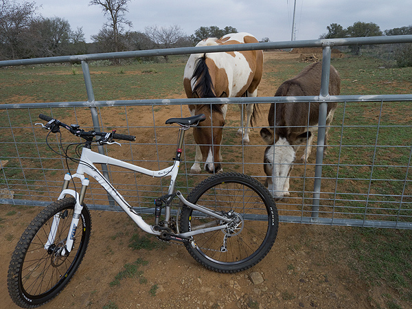 Ranch Animals