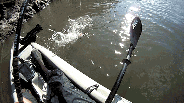 How To Troll From A Kayak For Better Salmon Fishing Results