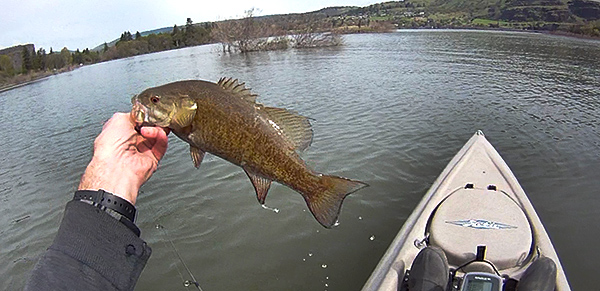 Bass Fishing from a Kayak: Our Top Tips to Tilt the Odds in Your