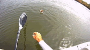 Click HERE for kayak fishing GIFs