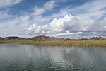 Colorado River 11-21-19