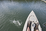 Boatside fight with a rainbow trout