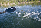 Boatside battle with a feisty rainbow trout