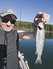 Hood River County rainbow trout