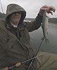 Rainy day rainbow trout