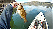 2013 Smallmouth Bass Fishing