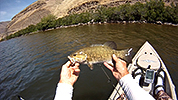 2016 John Day River Kayak Fishing