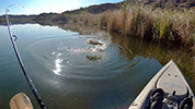 2020 Colorado River Kayak Fishing