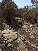 Rock ledge drops off onto a rocky trail