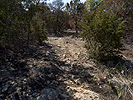 A rough, rocky trail section