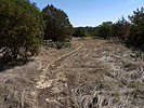 Open section of trail near Mile Marker 22