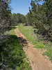 Central Texas hill country trail in Pace Bend Park