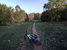 Early morning singletrack at Pace Bend State Park