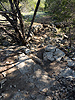 A rocky technical section of singletrack