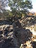 A rock chute on RPR Trail