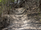 Root drop on the Severe Consequences Loop trail