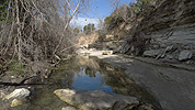 Steep, high cliffs along Walnut Creek