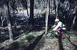 Riding in a Carlsbad eucalyptus tree grove