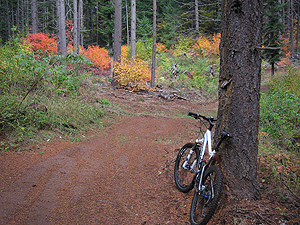 FallColors