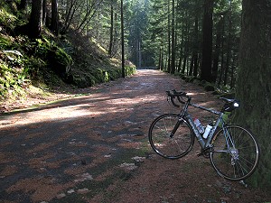 Backroad