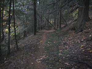 EmptySingletrack