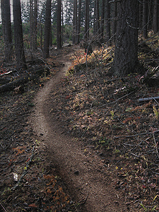 FallTrail