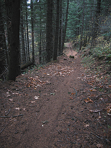 MoreDownhill