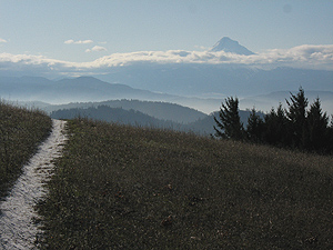 ColdTrail