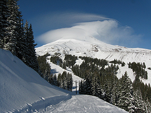 Mt.Hood