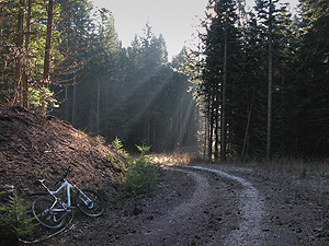 WinterRoad