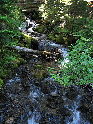 Tour de Trout