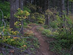 Early Fall Color