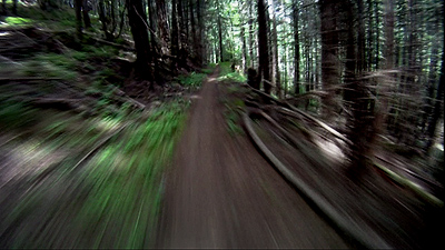Evergreen Freeway