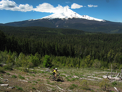 Surveyors Ridge