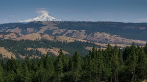 The Valley Below