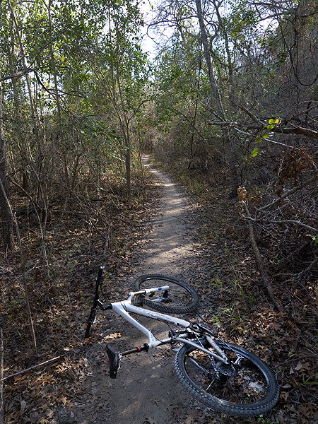 Walnut Creek Park Austin Tx