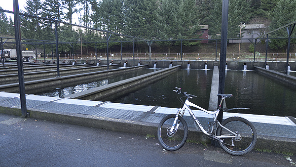 Cascade Fish Hatchery