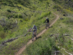 Singletrack Trail 4-23-13