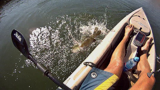 Click HERE to see the big Columbia River smallmouth bass video