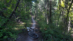 Hillside Trail