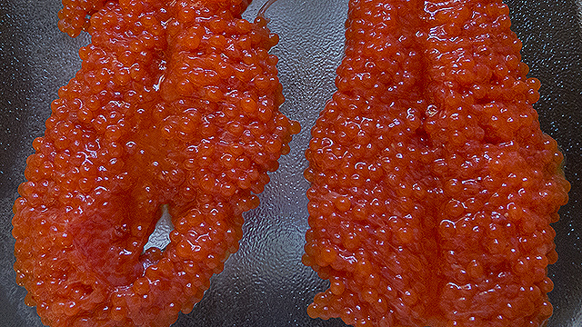 Click HERE to go to the Curing Salmon Eggs web page