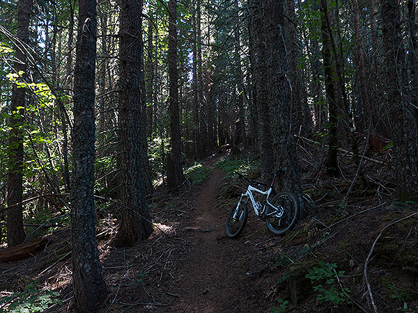 Early morning mountain bike ride