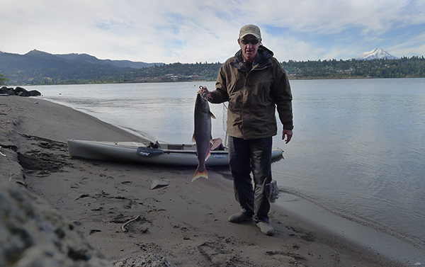 Columbia River Chinook salmon caught kayak fishing