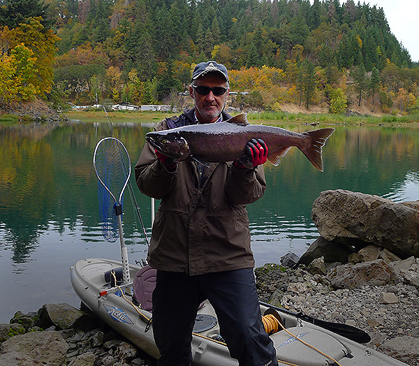 Chinook salmon caught kayak fishing on the Columbia River