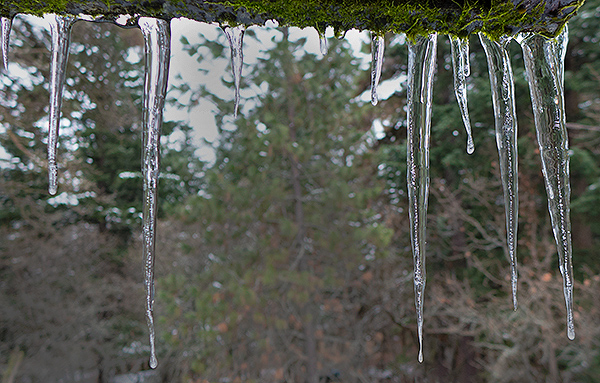 Cold and ice for New Years 2016