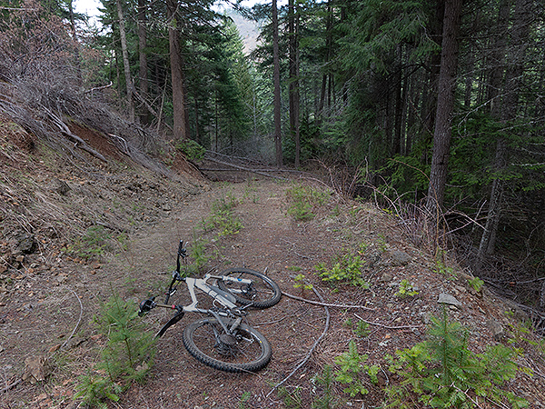 A hidden trail in the Cascade foothills
