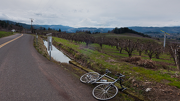 Between rainstorms in the Hood River valley